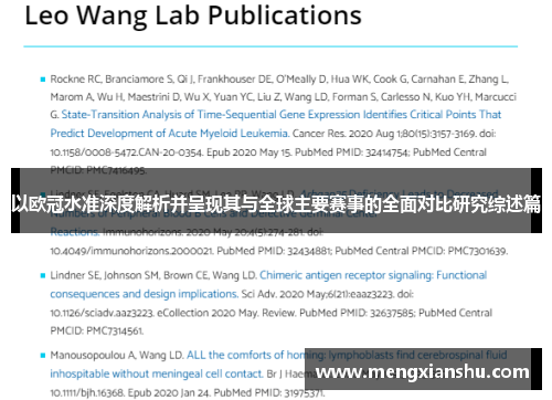 以欧冠水准深度解析并呈现其与全球主要赛事的全面对比研究综述篇